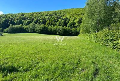 Teren intravilan constructii cu autorizatie constructie casa - Cisnadie - Sibiu Teren intravilan constructii cu autorizatie constructie casa - Cisnadie - Sibiu - 6