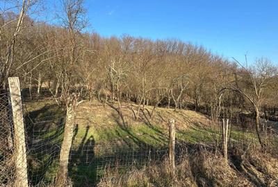 Spațiu comercial, în Cărbunești - 3