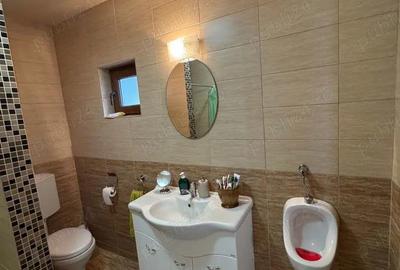 Vila de vanatoare in Santimbru-Bai - 16