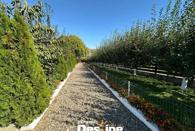 Proprietate spatioasa cu potential turistic in Bucovina Mica - Tatarusi, sat Uda Proprietate spatioasa cu potential turistic in Bucovina Mica - Tatarusi, sat Uda - 1