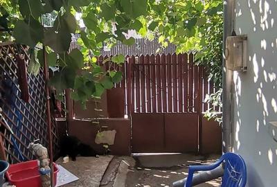 Casă cu 3 camere în Central - 4