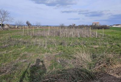 Teren de 1000 mp, în Enoșești - 6