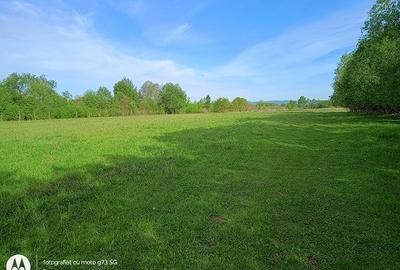 Teren Construcții extravilan de 3400 mp, în Lisa - 4