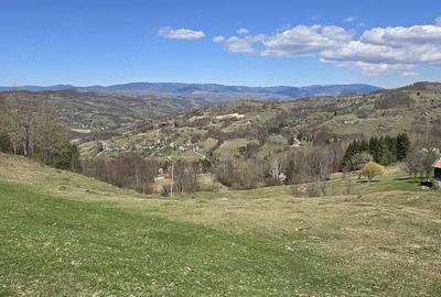 Teren de 23000 mp, în Sohodol - 3