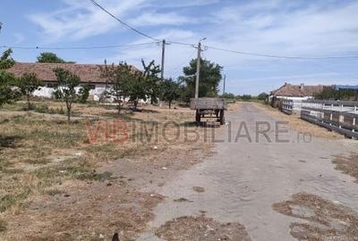 Ferma Zootehnică Mixtă – Cernateaz, Timiș | 9,5 ha | Hale Moderne, Casă 20 - 6