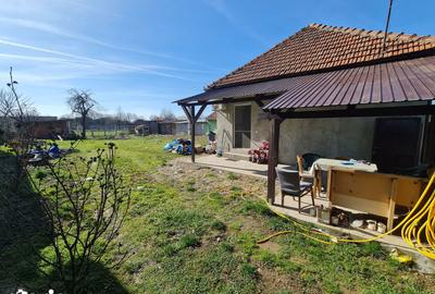 Casă cu 2 camere decomandat cu Teren 1230 Mp în Bocsig - 12