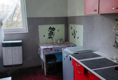 Apartament 2 Camere de vanzare, Calea Traian - 4