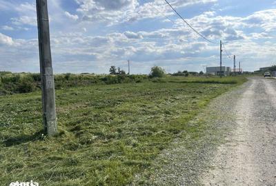 Teren de 500 mp, în Oșorhei - 5