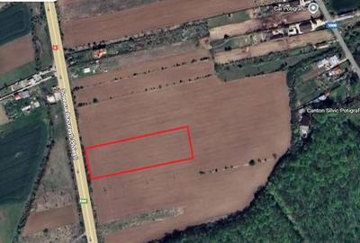 Teren de 7500 mp, în Ciolpani