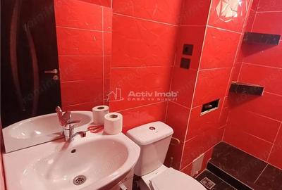 Apartament de inchiriat in Avrig modern - 10