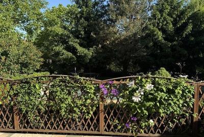 Casă individuală cu 5 camere cu Piscina în Bragadiru - 15
