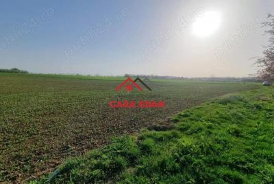 Casă cu Teren 5000 Mp în Urleta - 5