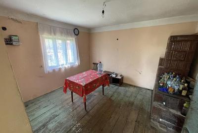 Casă cu 5 camere cu Teren 8000 Mp în Orlești - 8