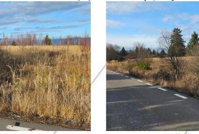 Spațiu comercial, în Hodoșa - 2