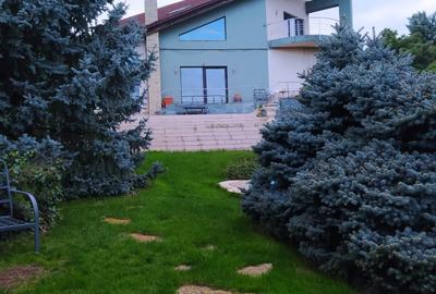 Casă cu 5 camere cu Canalizare în Mogoșoaia - 7