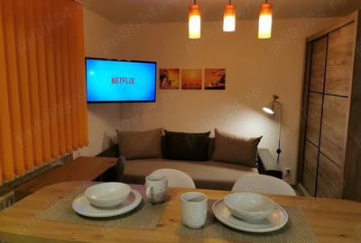 Garsoniera de inchiriat, zona 7 Noiembrie, Targu Mures - 6