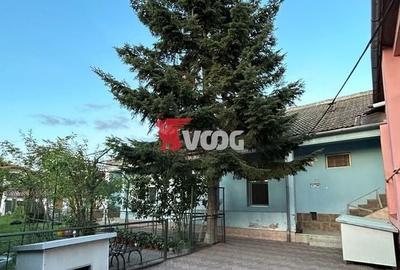Casa cu potential în Mehala - 5