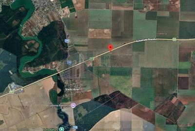 Teren agricol intravilan de 2650 mp, în Brănești - 4