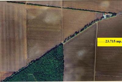 Gradistea - Ilfov, Tarla 194, teren 23.715 mp. in apropiere de DJ 200 - 2