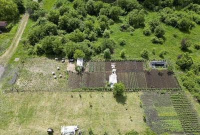 Teren intravilan in Gradi?te, 906 mp - 16