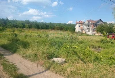 Teren intravilan cu potential de investitie Reghin - 3