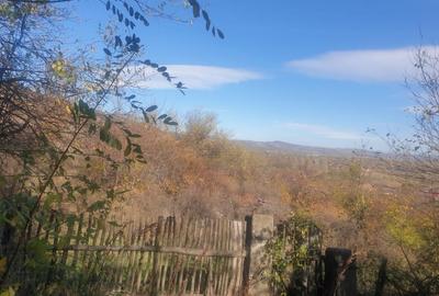 Teren intravilan si extravilan 4000 m2 Jud Buzau - 5