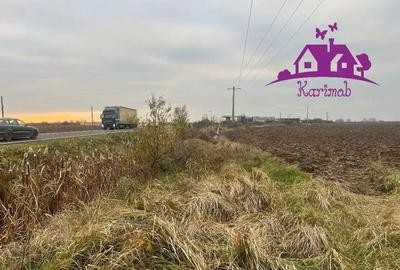 Teren pentru hale soseaua Nojorid Les - 4