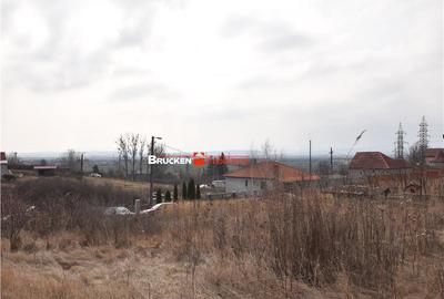 LOC DE CASA IN PETREU - 4