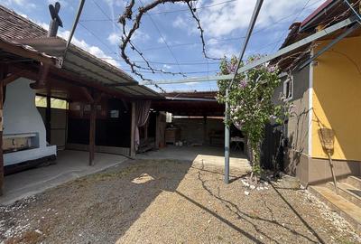 Casă individuală cu 4 camere cu Teren 5526 Mp în Cheșa - 6