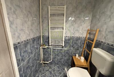 Apartament cu 2 camere decomandat, mobilat în Brazda lui Novac - 8