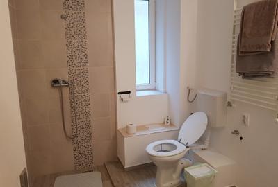 Calea Victoriei,pasajul cu umbrele,superb, pretabil airbnb,cladire istorica - 10