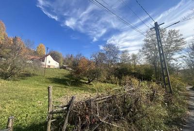 Teren de 1200 mp, în Provița de Sus - 1