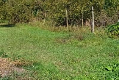 Casă cu 3 camere în Sânandrei - 1