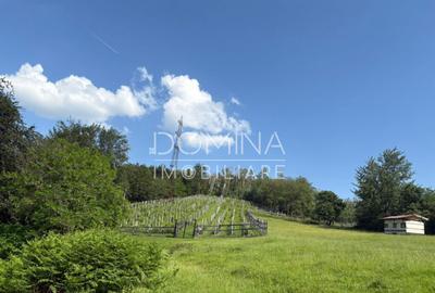 *Domeniu* cu poten?ial turistic - Bumbe?ti-Jiu - 20