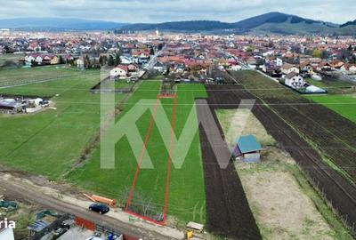 Spațiu comercial, în Sânpetru - 6