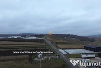 Teren de 14066 mp, în Mihoveni - 10