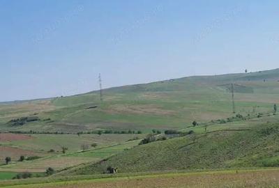 Teren de 29400 mp, în Rogova - 2