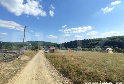 Casă cu 6 camere cu Teren 5000 Mp în Rădăuți - 11