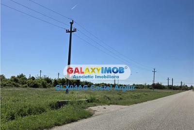 Vindem 12 ha teren intravilan curti-constructii in Teiu - Ar - 5