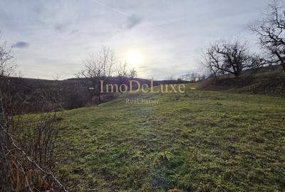 Teren extravilan langa lac, 8500mp, priveliste, acces, utilitati, zona Baciu - 6