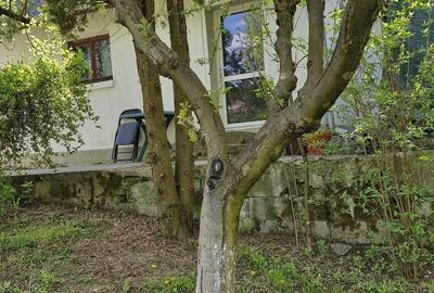 Teren de 700 mp, în Corunca - 6