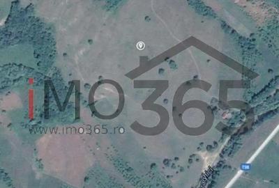 Teren de 150000 mp, în Mihăești - 3