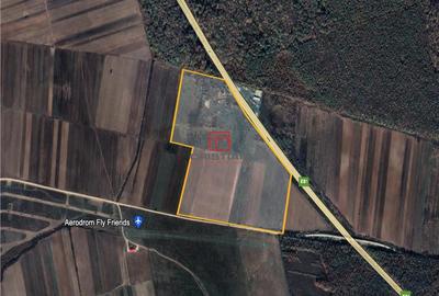 Teren de 205000 mp, în Vânătorii Mici - 3