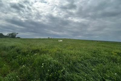 Teren de vanzare Bals Com. Voineasa, Sat Racovita - 1