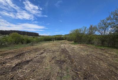 Teren de 6704 mp, în Bârsău - 20