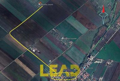 Casă cu Teren 504 Mp în Hălchiu - 6