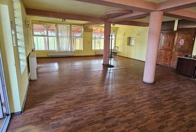 Spațiu comercial, de 310 mp, în Snagov - 1