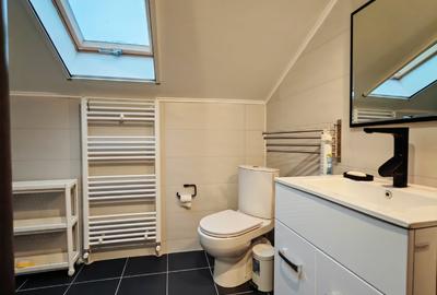 Vila S+P+1+M-318 m2 utili cu 1820 m2 teren situata vis a vis Lidl,Penny,Kaufland - 45