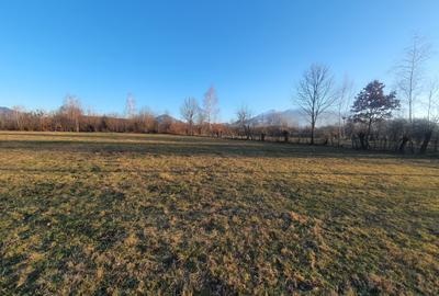 Teren Construcții intravilan de 1370 mp, în Bran - 3