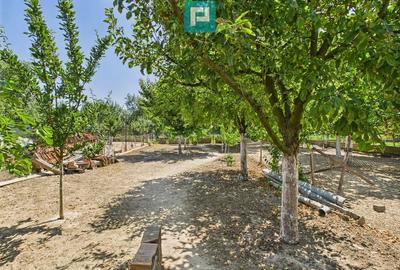 Casa cu 4 camere, teren de 360 mp in Chi?ineu Cri? - 14